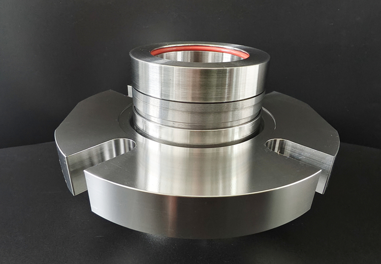 AS-C519 Double Cartridge Seal replace Roten 922
